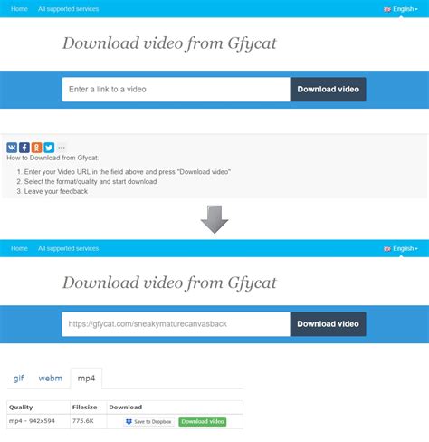 redgifs video downloader|Reddit Video Downloader